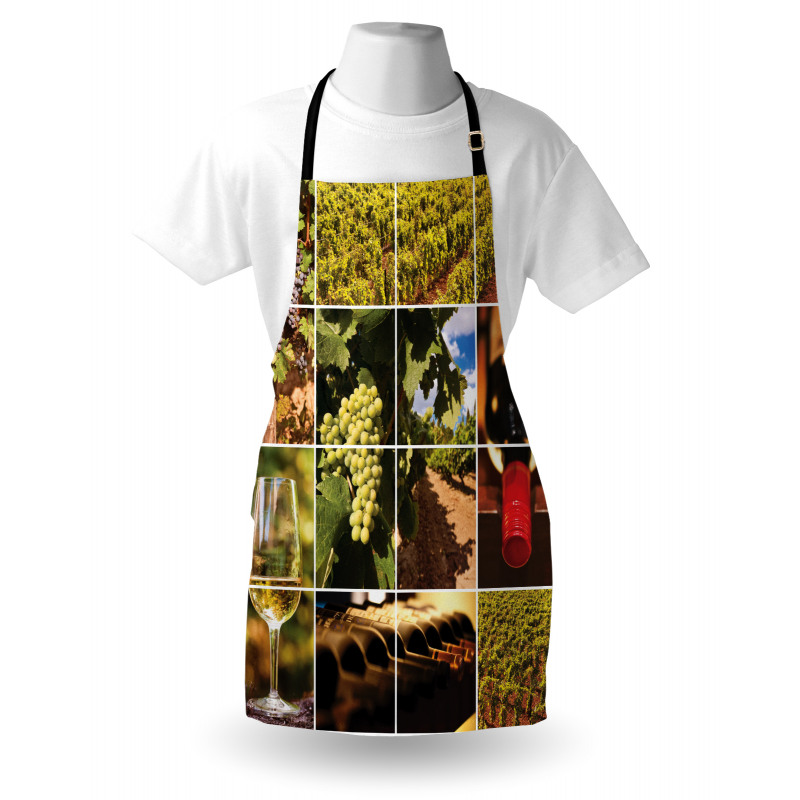 Vineyard Grapes Landscapes Apron