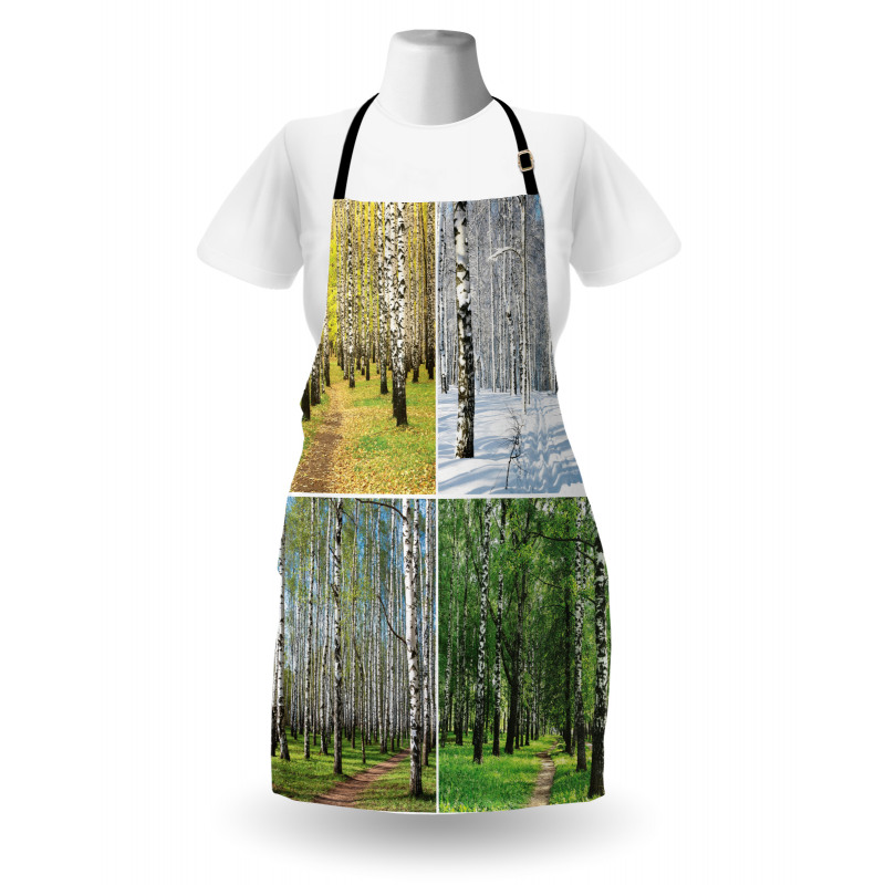 Fall Winter Birch Tree Apron