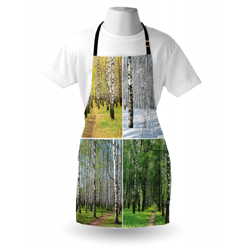 Fall Winter Birch Tree Apron