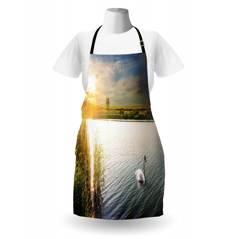 Swan in River at Dawn Photo Apron