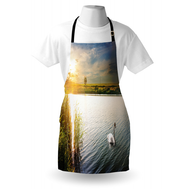 Swan in River at Dawn Photo Apron