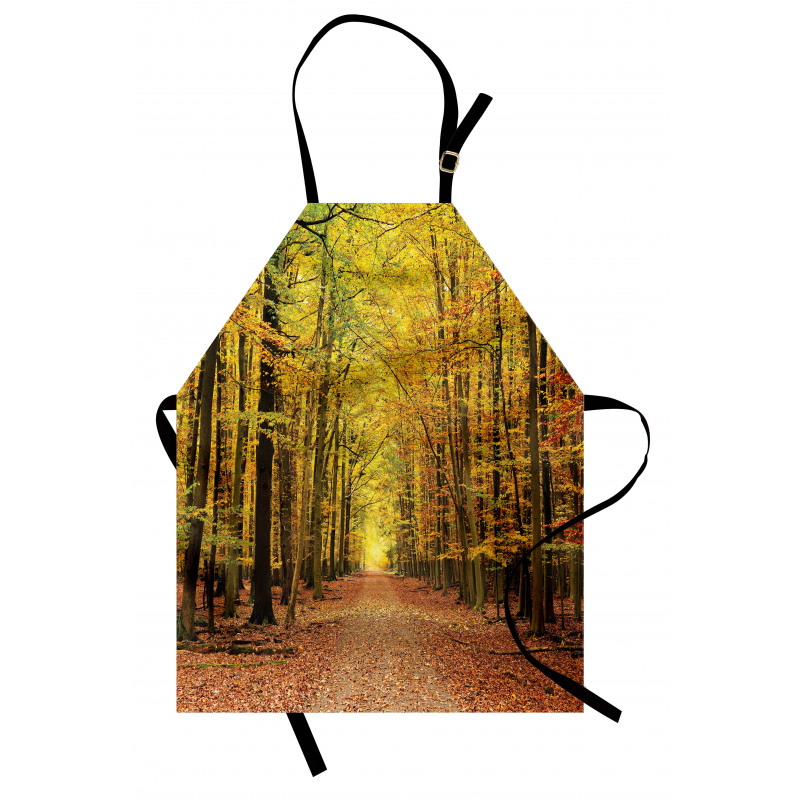 Pathway into the Forest Apron