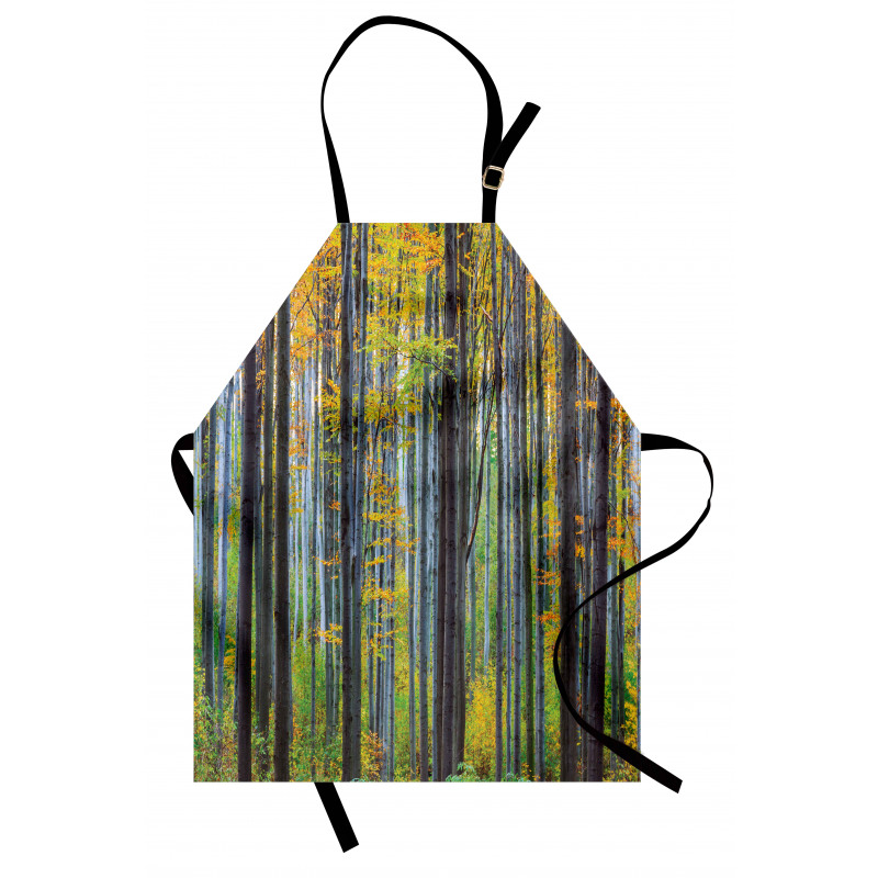 Autumn Season Beech Forest Apron