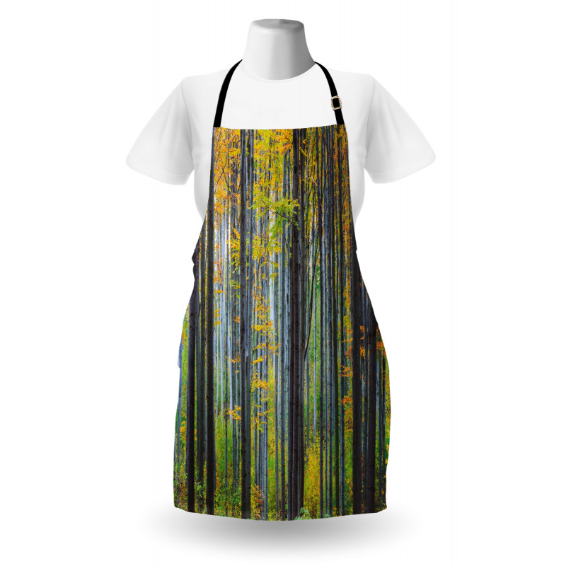 Autumn Season Beech Forest Apron