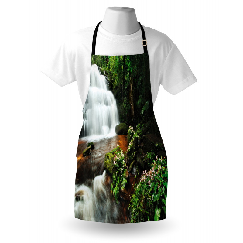 Jungle Trees and Waterfall Apron