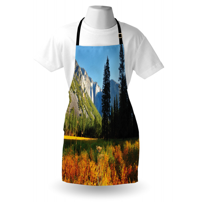 Birds over Mountains Apron