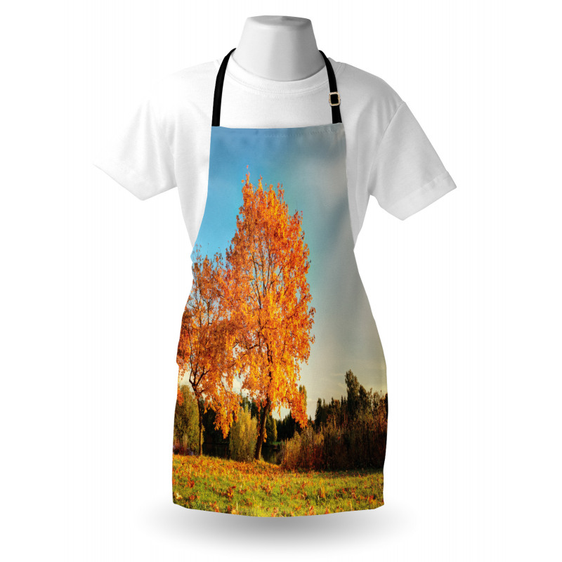 Maple Tree in Autumn Apron