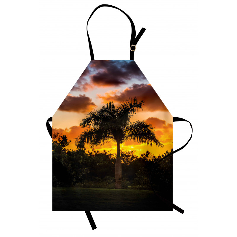 Exotic Tree at Sunset Apron