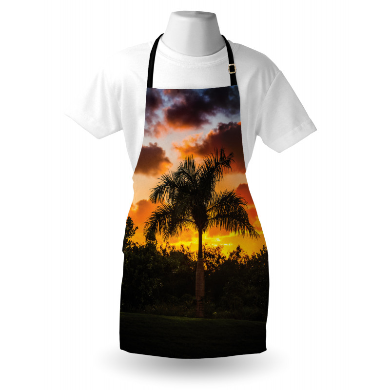 Exotic Tree at Sunset Apron