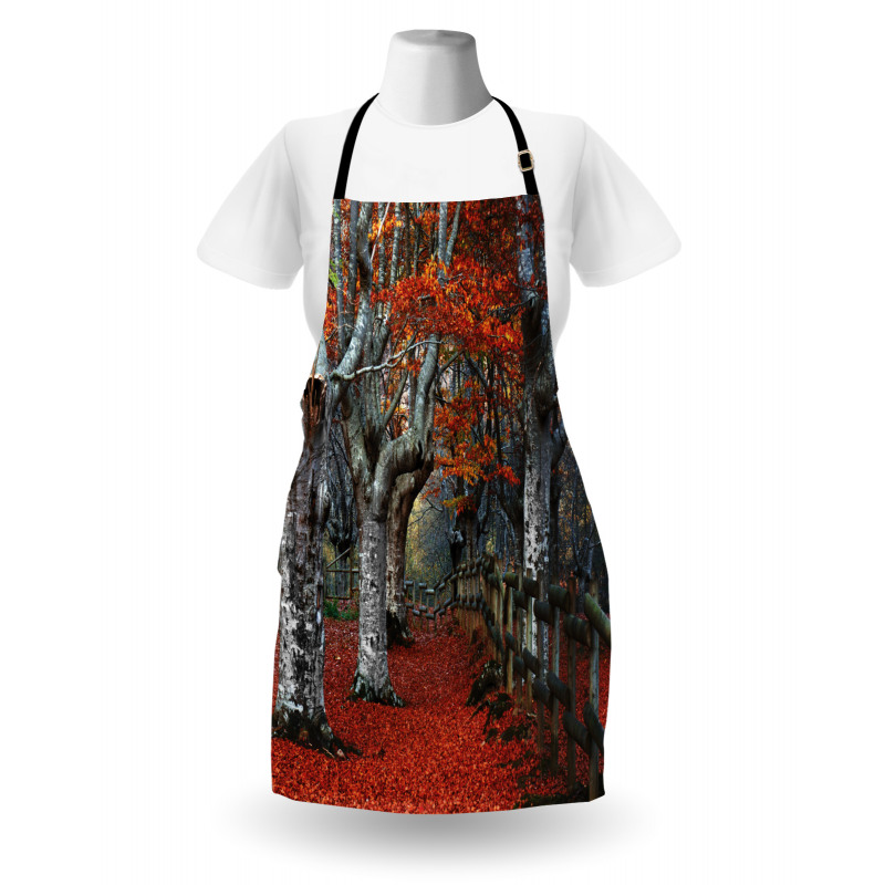 Beech Forest Autumn Apron