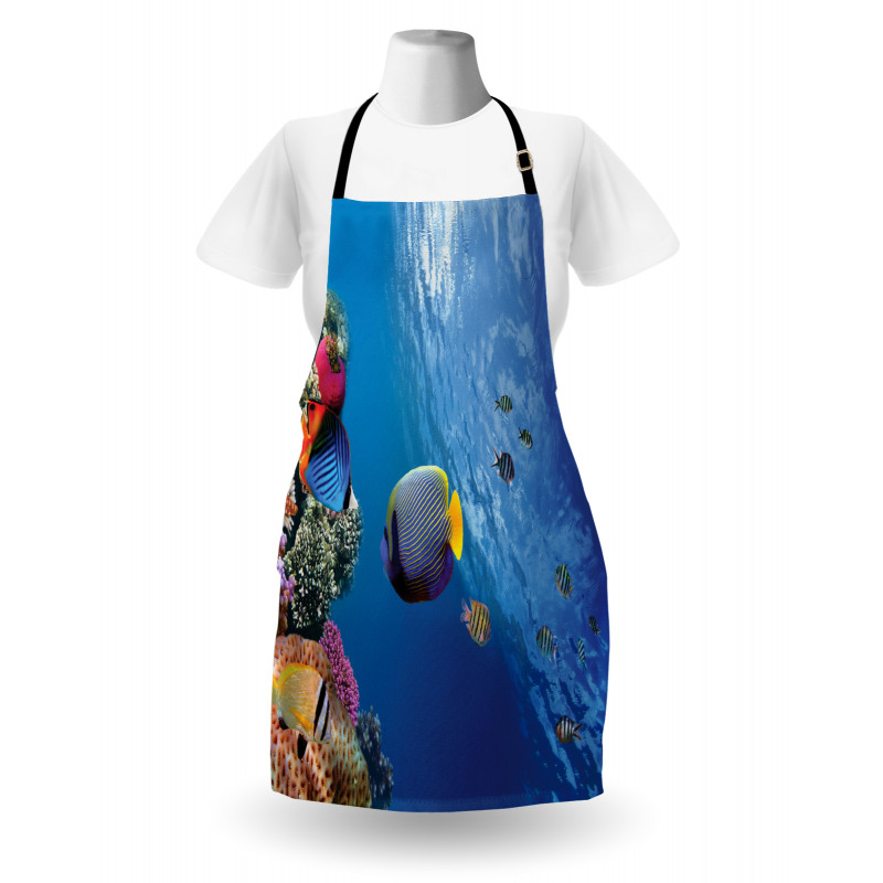 Underwater Fish Sea Apron