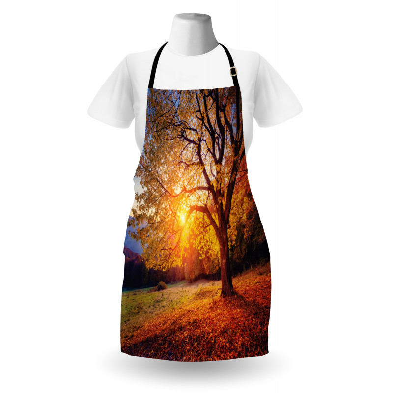Mevsimler Mutfak Önlüğü Romantik Ağaç ve Güneş