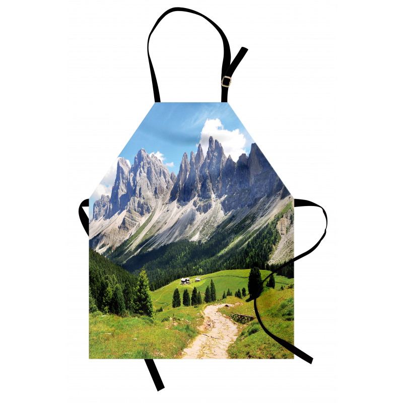 Pathway to Forest Alps Apron