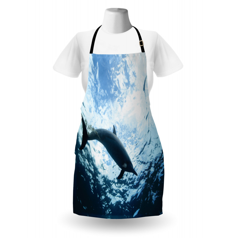 Swimming Dolphin Apron