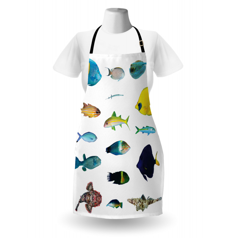 Marine Life Creatures Apron