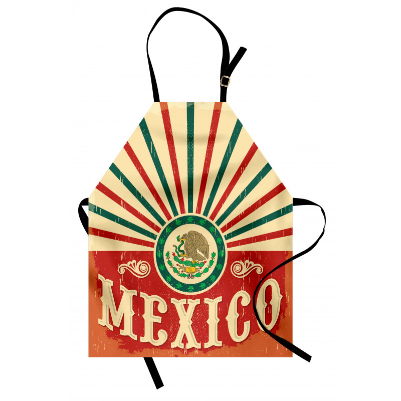 Ülkeler ve Şehirler Mutfak Önlüğü Retro Meksika Bayrağı Desenli