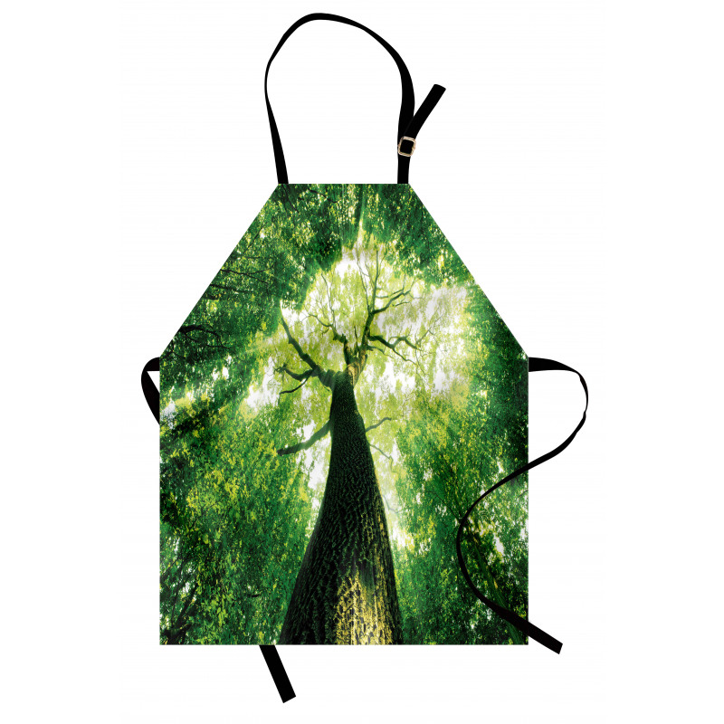 Summer Rays in Wild Apron