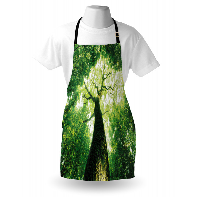 Summer Rays in Wild Apron
