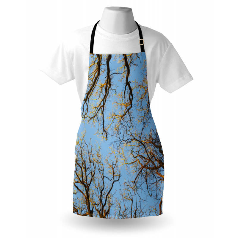Vibrant Sky with Trees Apron