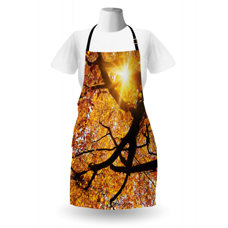 Sun in October Harvest Apron