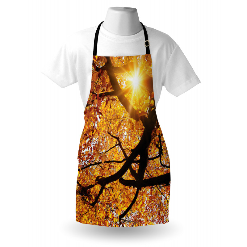 Sun in October Harvest Apron