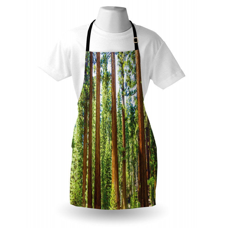 Braches in Spring Apron