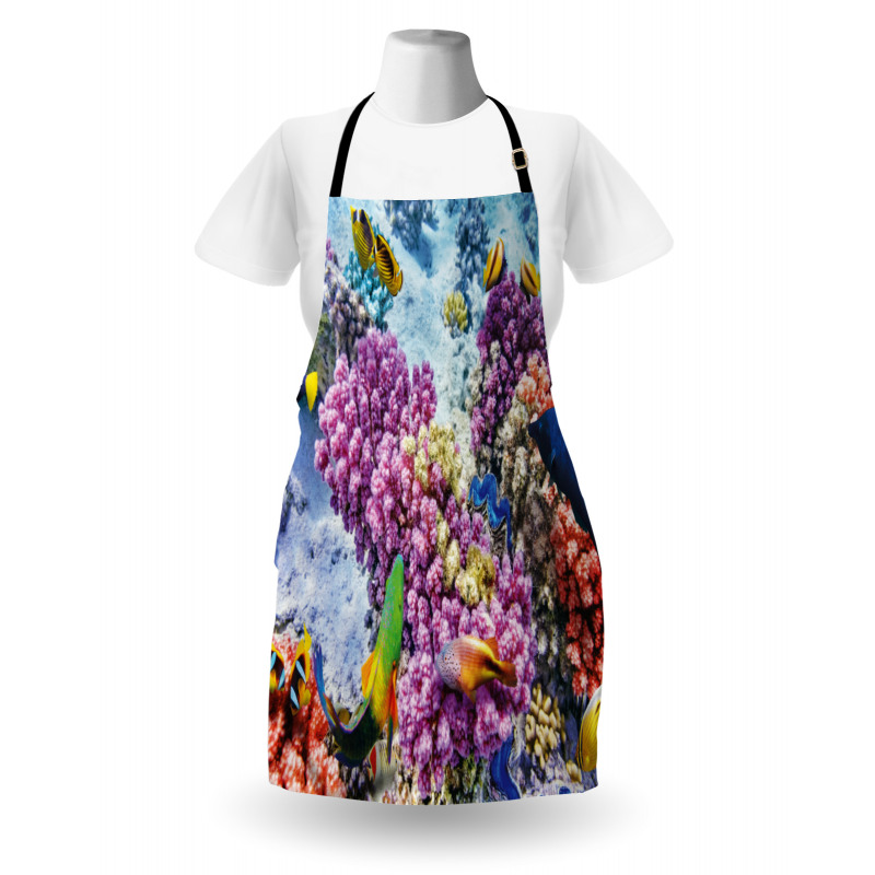 Marine Life Sea Apron