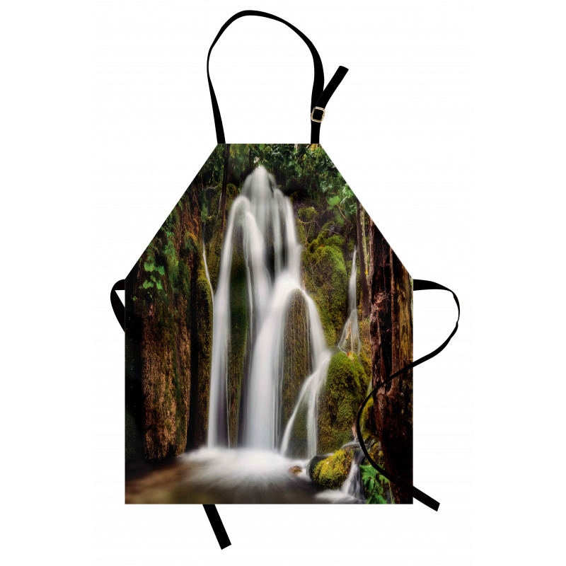 Waterfall Forest Cascade Apron