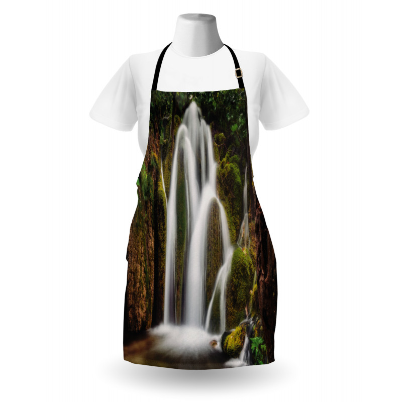 Waterfall Forest Cascade Apron