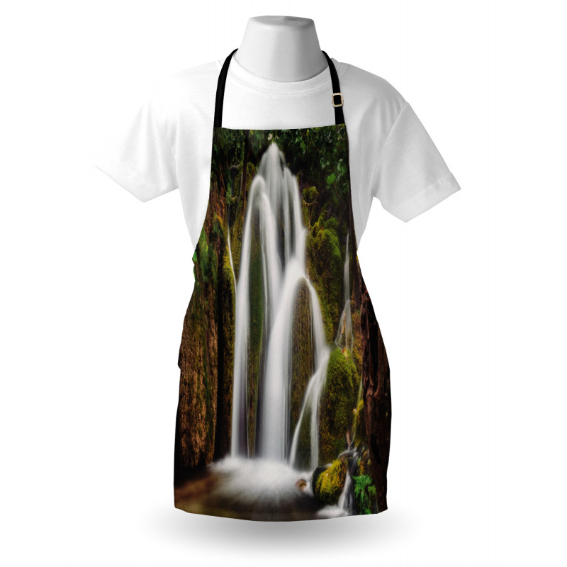 Waterfall Forest Cascade Apron