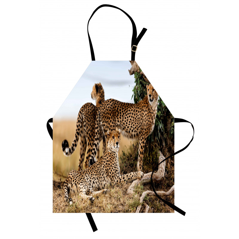Hayvan Deseni Mutfak Önlüğü Vahşi Doğada Çita Temalı