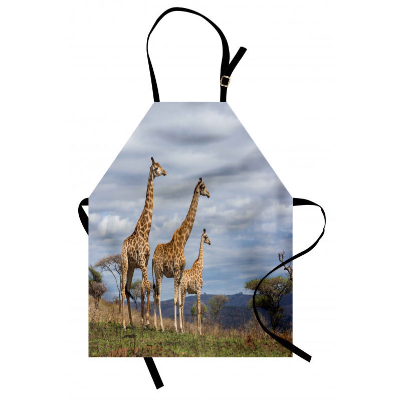 Giraffe Family Apron