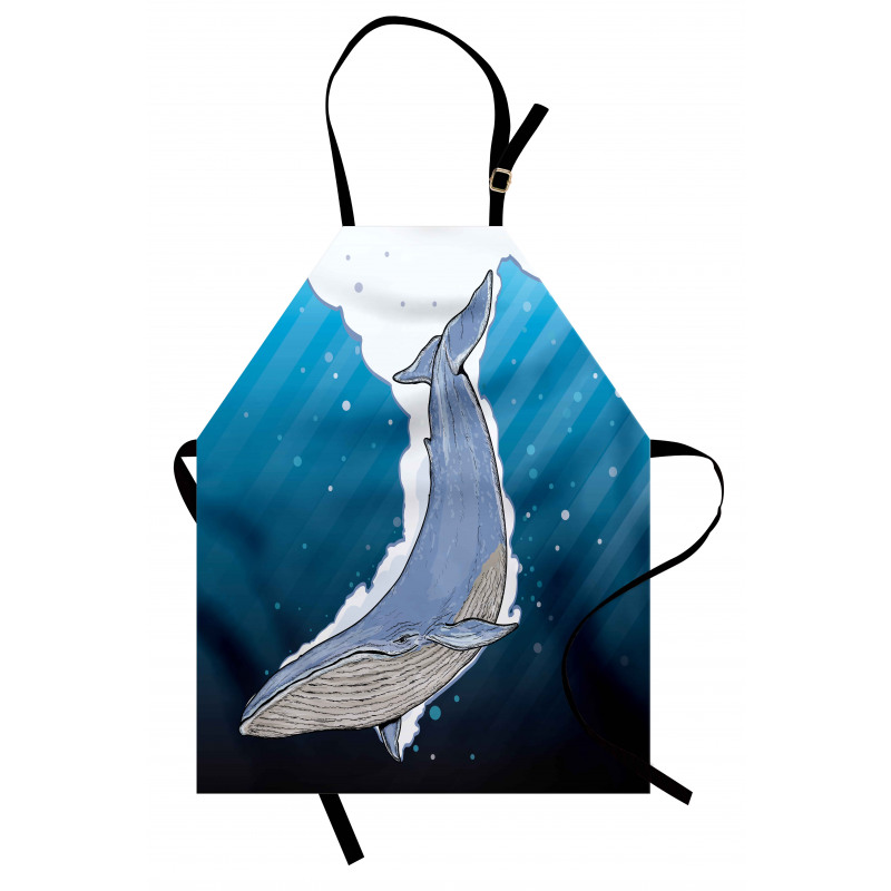 Ocean Whale Fish Swims Apron