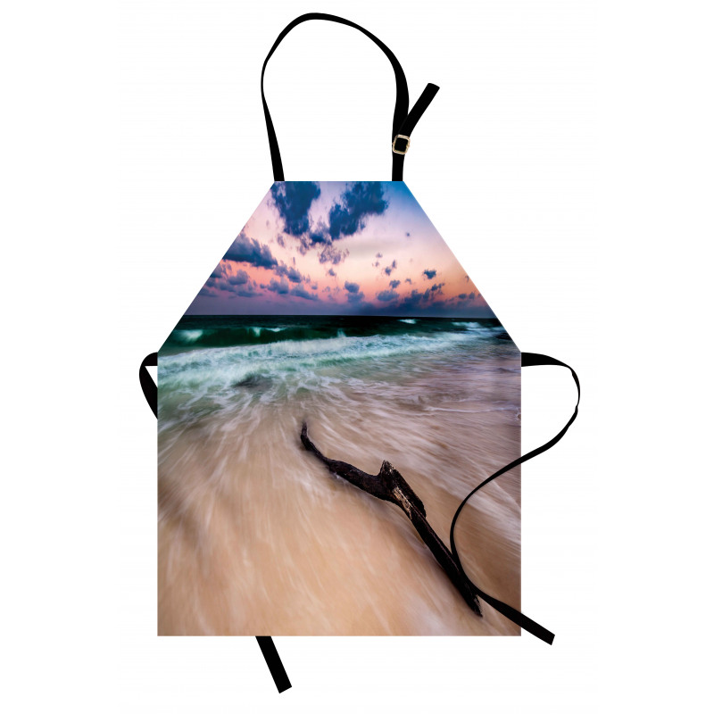 Driftwood on Beach Apron