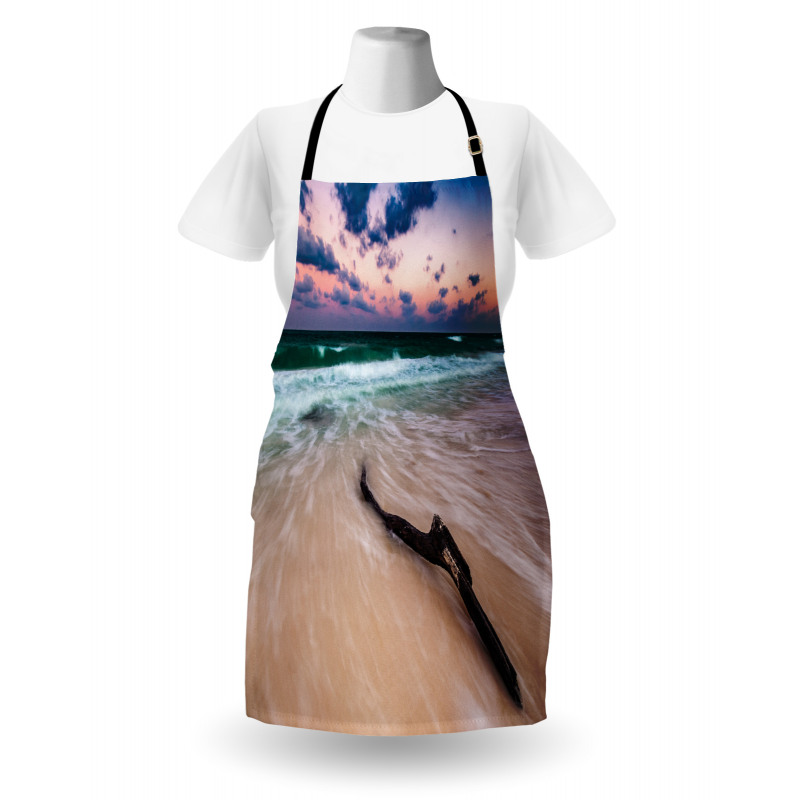 Driftwood on Beach Apron