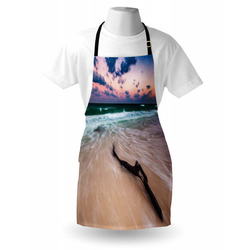 Driftwood on Beach Apron