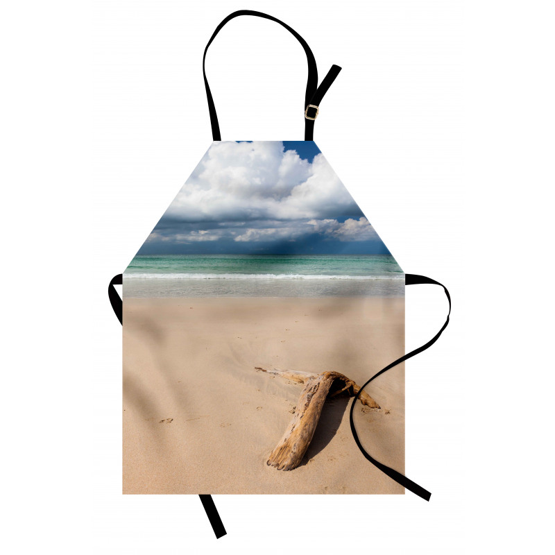 Driftwood on the Beach Apron