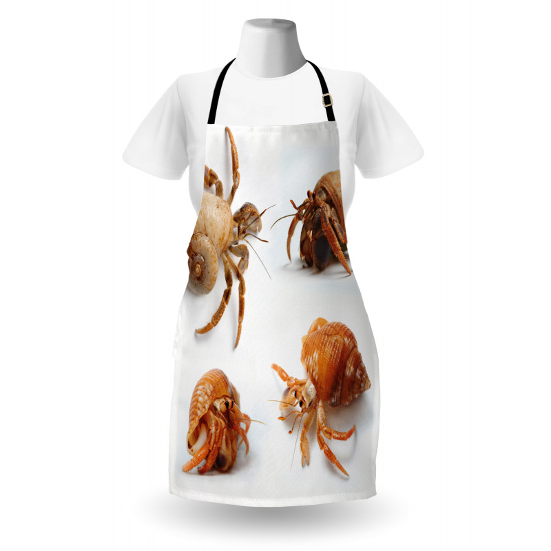 Hermit Crabs Pattern Apron