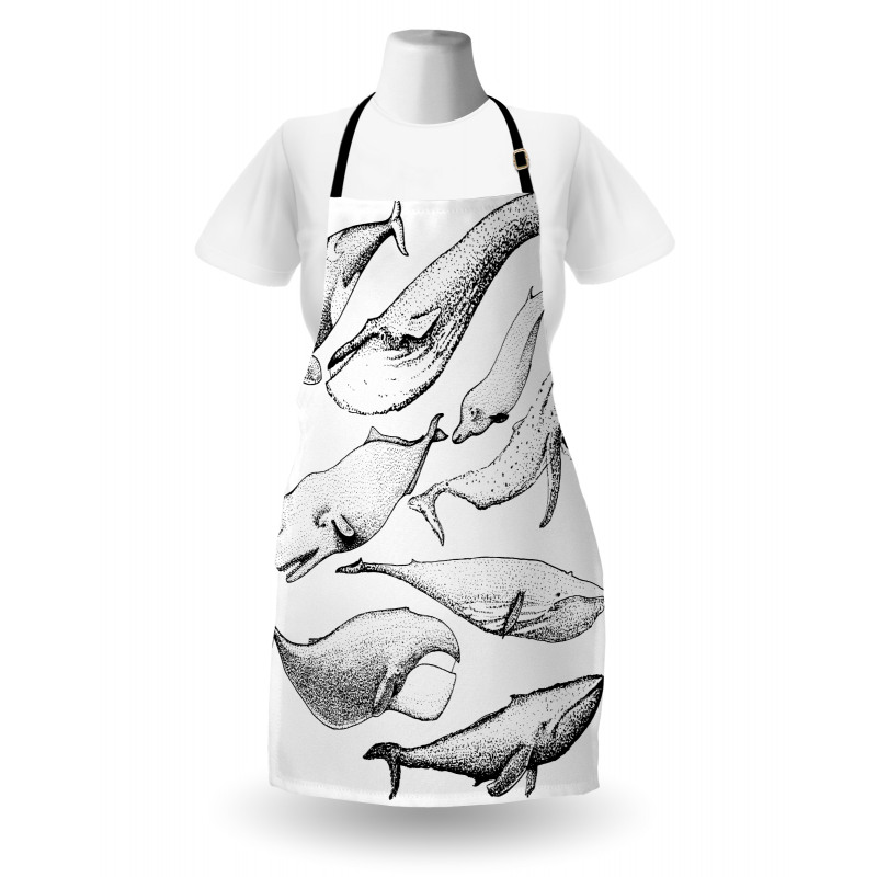 Hand Drawn Single Whale Apron