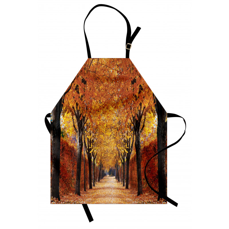 Pathway in the Woods Apron