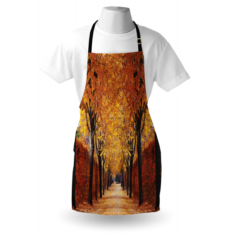 Pathway in the Woods Apron