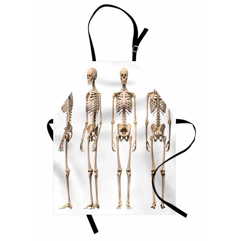 Medical Skeleton Apron