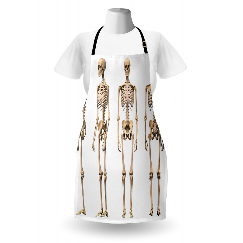 Medical Skeleton Apron