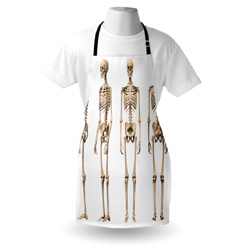 Medical Skeleton Apron