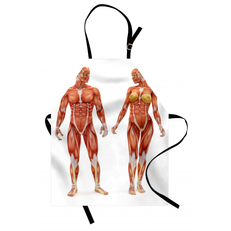Male Human Body Apron
