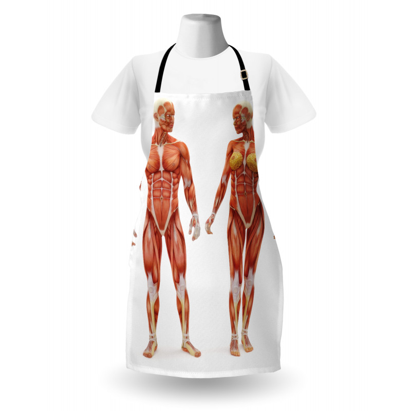 Male Human Body Apron