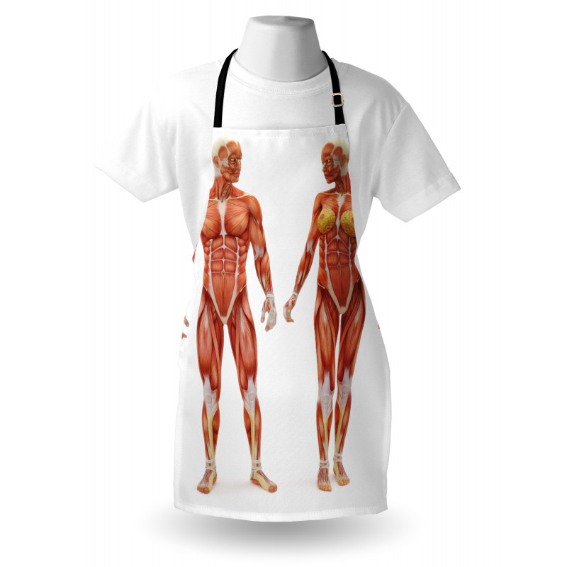 Male Human Body Apron