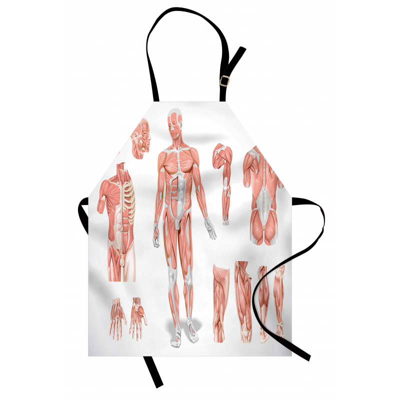 Biology Human Medical Apron