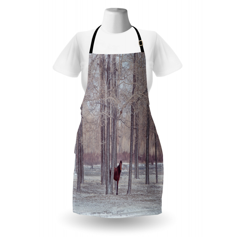 Horse Forest Stands Apron