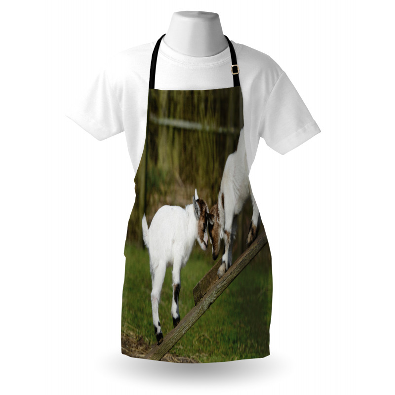 Farm Life with Goats Apron